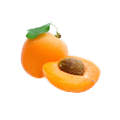 APRICOT