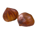 CHESTNUT