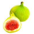 FIG