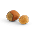 HAZELNUTS