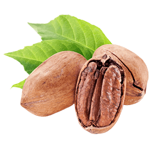 PECAN