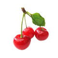 SOUR CHERRY